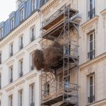 Comment les travaux de ravalement de façade à Paris favorisent l’installation de nids de guêpes et de frelons asiatiques, et comment les prévenir