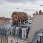 Comment les toitures et combles mal entretenus à Paris favorisent l’installation de nids de guêpes et de frelons asiatiques, et comment s’en protéger ?